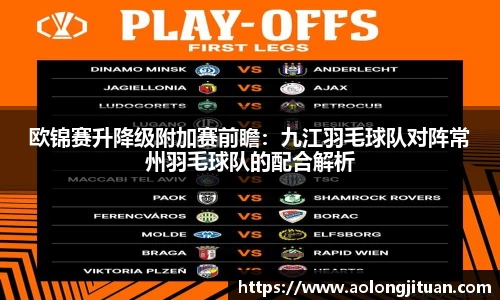 欧锦赛升降级附加赛前瞻：九江羽毛球队对阵常州羽毛球队的配合解析
